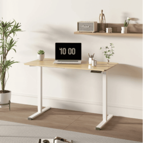 Electric Standing Desk Whole Piece Adjustable Height Desk Home Office Computer Workstation Sit Stand Up Desk (Option: WhiteNatural)