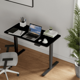 Electric Standing Desk Dual Motor 3 Stages Adjustable Height Desk Home Office Computer Workstation Sit Stand Up Desk, 55 X 28 Inch (Color: black)