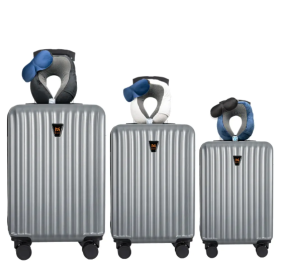 3pcs Luggage Set   Lightweight Hard Shell Suitcase Set With Double Spinner Wheels, Large Capacity, Includes 3pc U-Shaped Travel Pillow Set, Perfe (Color: silver)