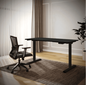 Electric Standing Desk Dual Motor Adjustable Height Desk Home Office Computer Workstation Sit Stand Up Desk, 55 X 28 Inches (Color: black)